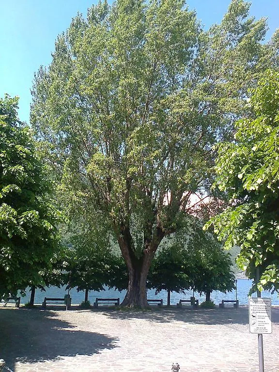 Uliveto Apartment Sulzano 0*,  Italy